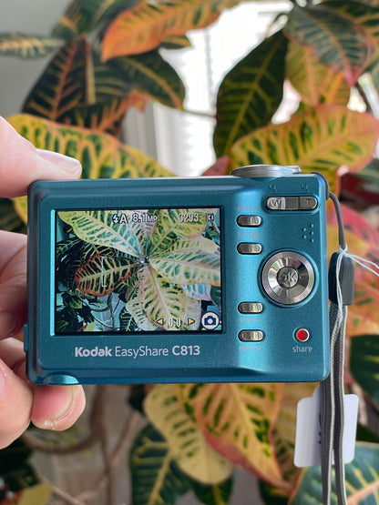 Kodak EasyShare C813 8.2 MP Digital Camera Bundle - Teal