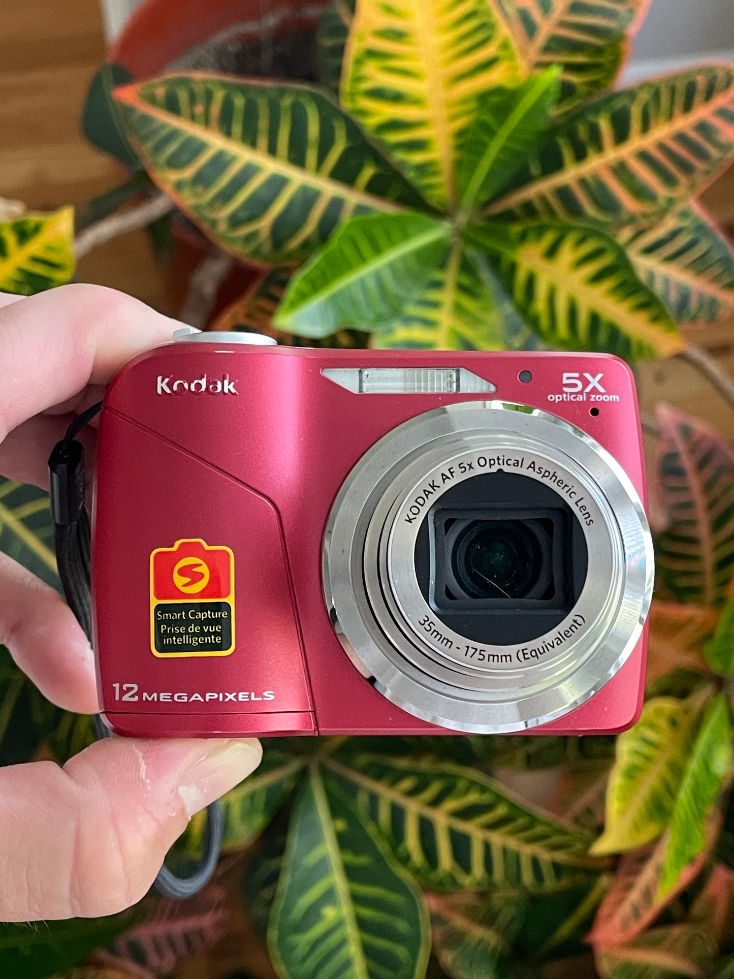 Kodak EasyShare C190 12 MP Digital Camera Bundle - In Box