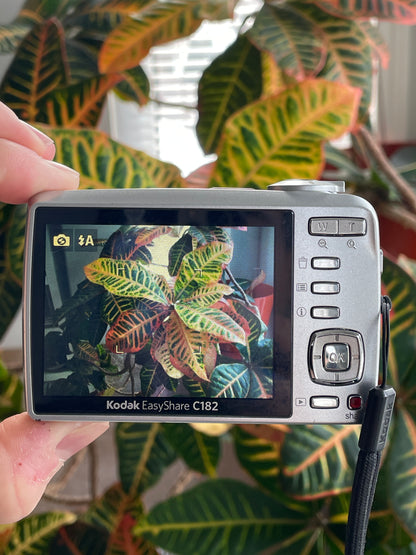 Kodak EasyShare C613 6.2 MP Digital Camera Bundle - White