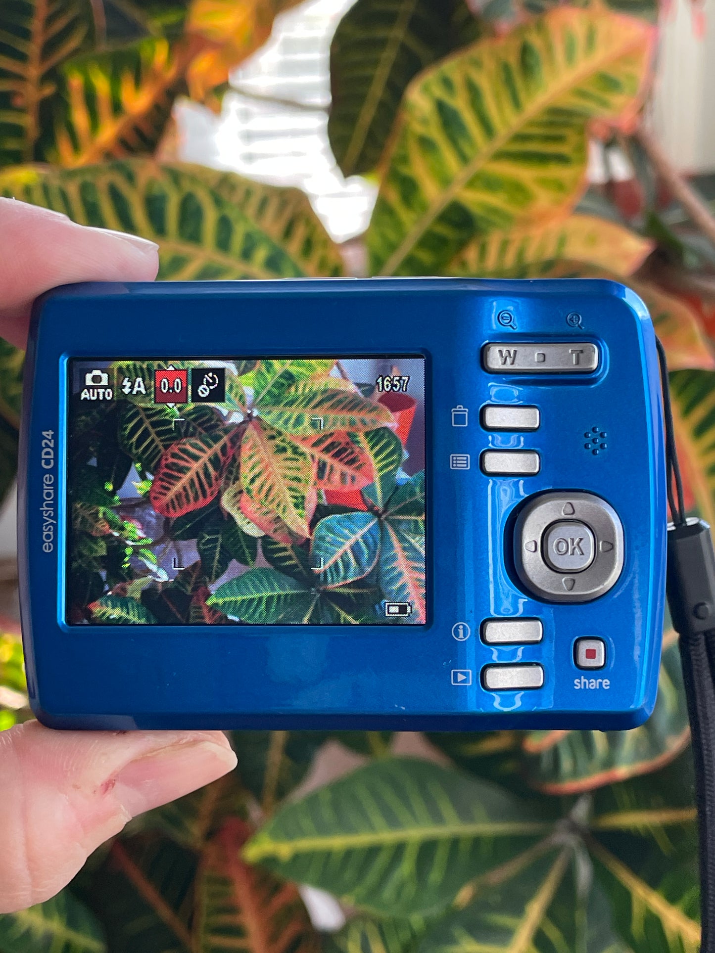 Kodak EasyShare CD24 12 MP Digital Camera Bundle - Blue