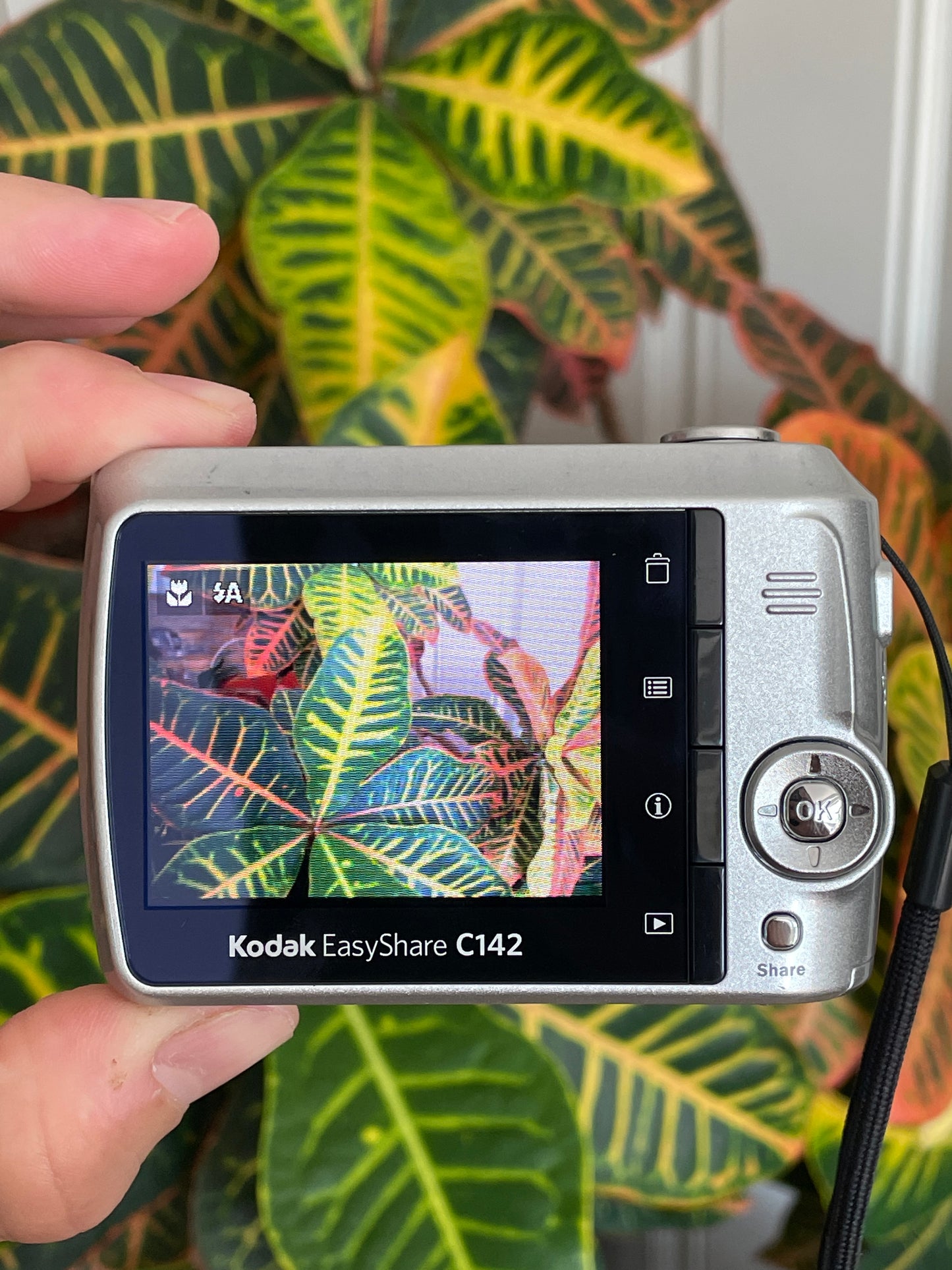 Kodak EasyShare C142 10.1 MP Digital Camera Bundle - Silver