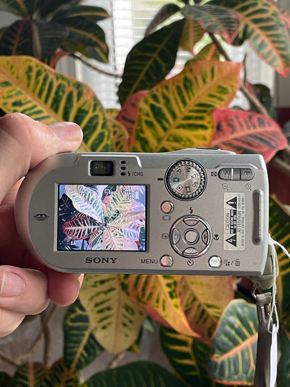 Sony Cyber-Shot DSC-P100 5.1 MP Digital Camera Bundle - Silver