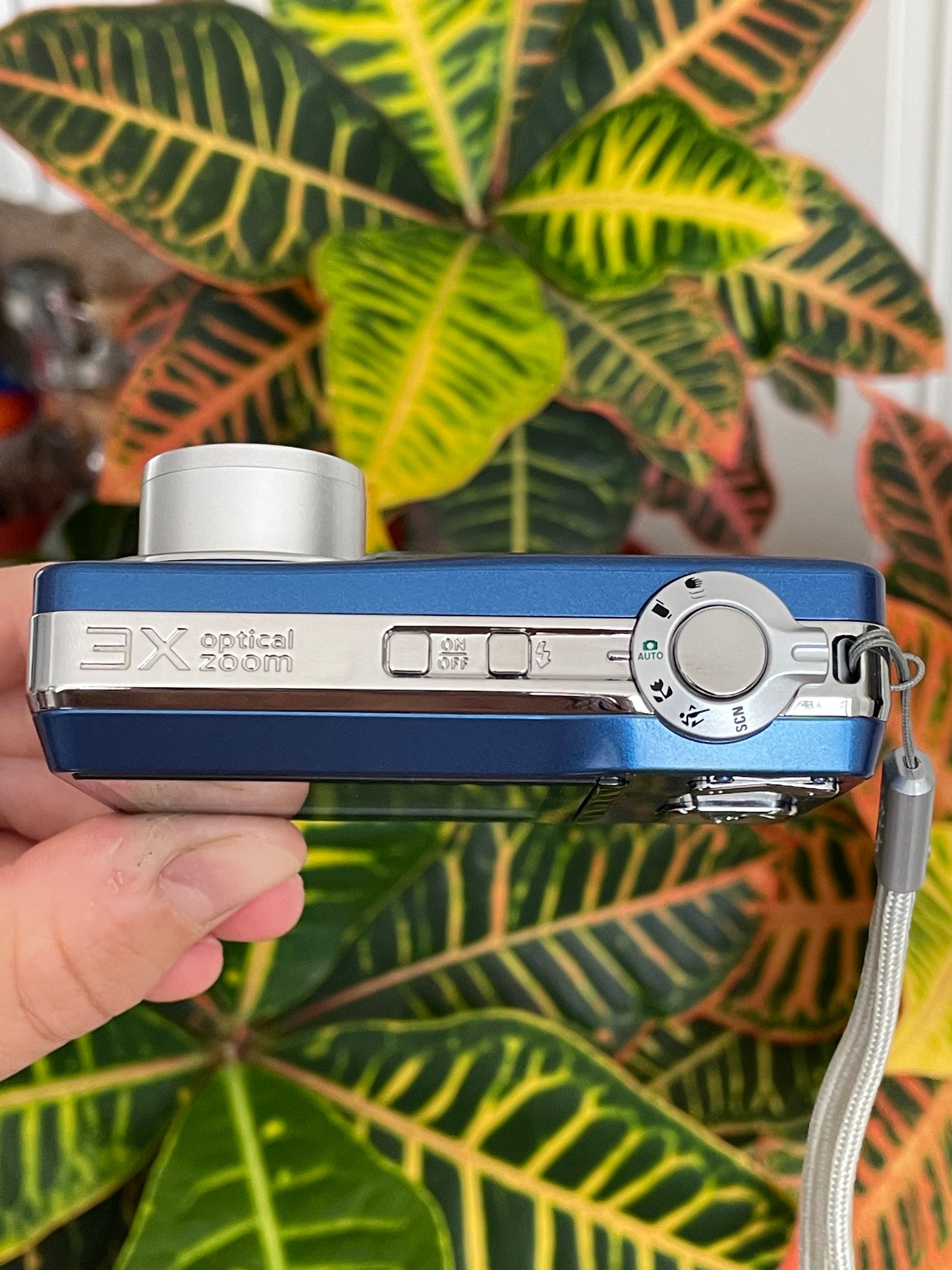 Kodak EasyShare C180 10.2 MP Digital Camera Bundle - Blue