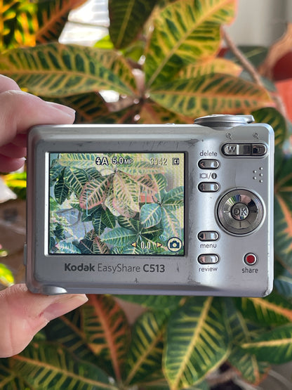 Kodak EasyShare C513 5 MP Digital Camera Bundle - Silver