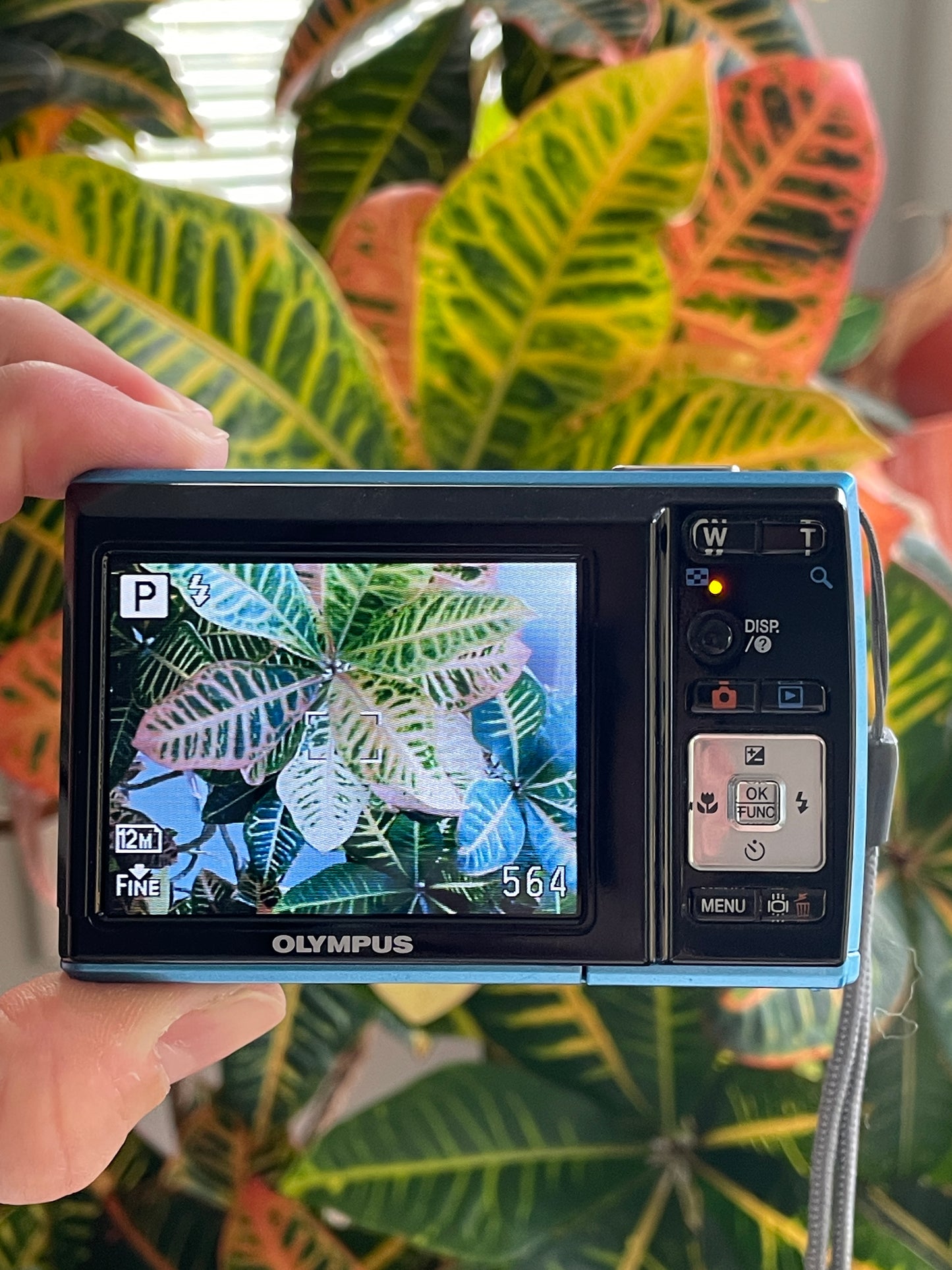 Olympus FE-46 12 MP Digital Camera Bundle - Blue