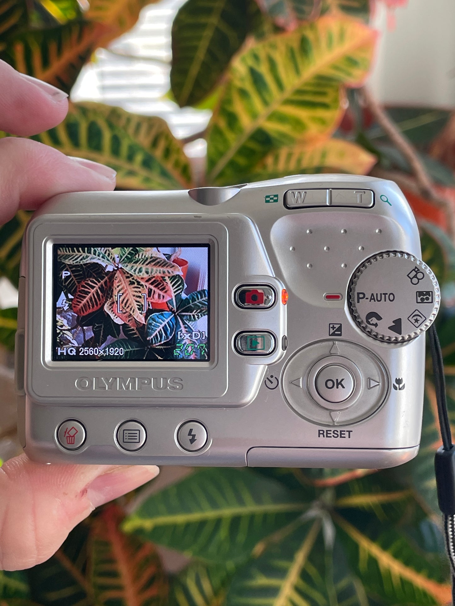 Olympus FE-110 5.0 MP Digital Camera Bundle - Silver - In Box