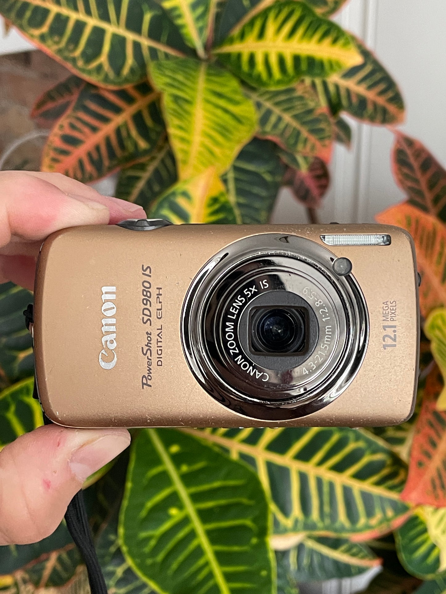Canon PowerShot SD890 IS Digital ELPH 12.1 MP Camera Bundle - Bronze