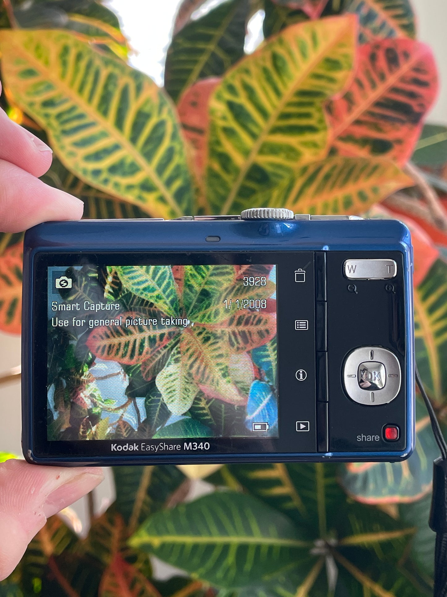 Kodak EasyShare M340 10.2 MP Digital Camera Bundle - Blue