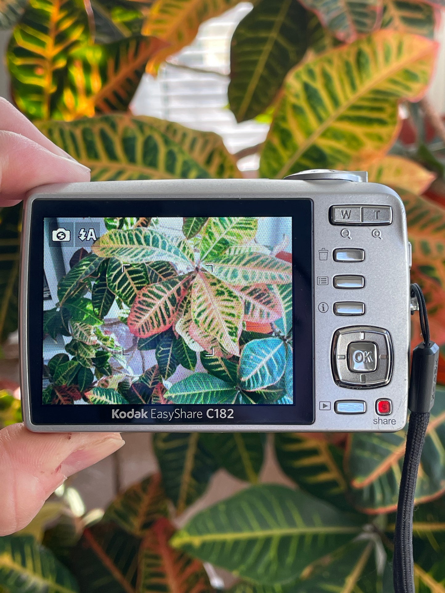 Kodak EasyShare C182 12 MP Digital Camera Bundle - Silver