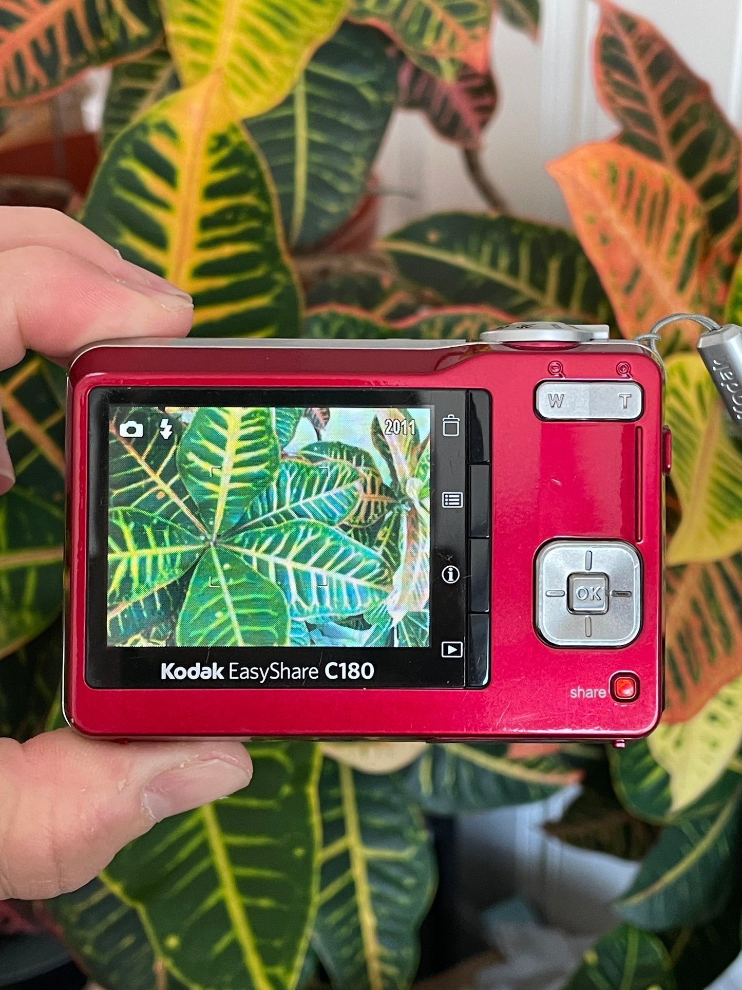 Kodak EasyShare C180 10.2 MP Digital Camera Bundle - Red
