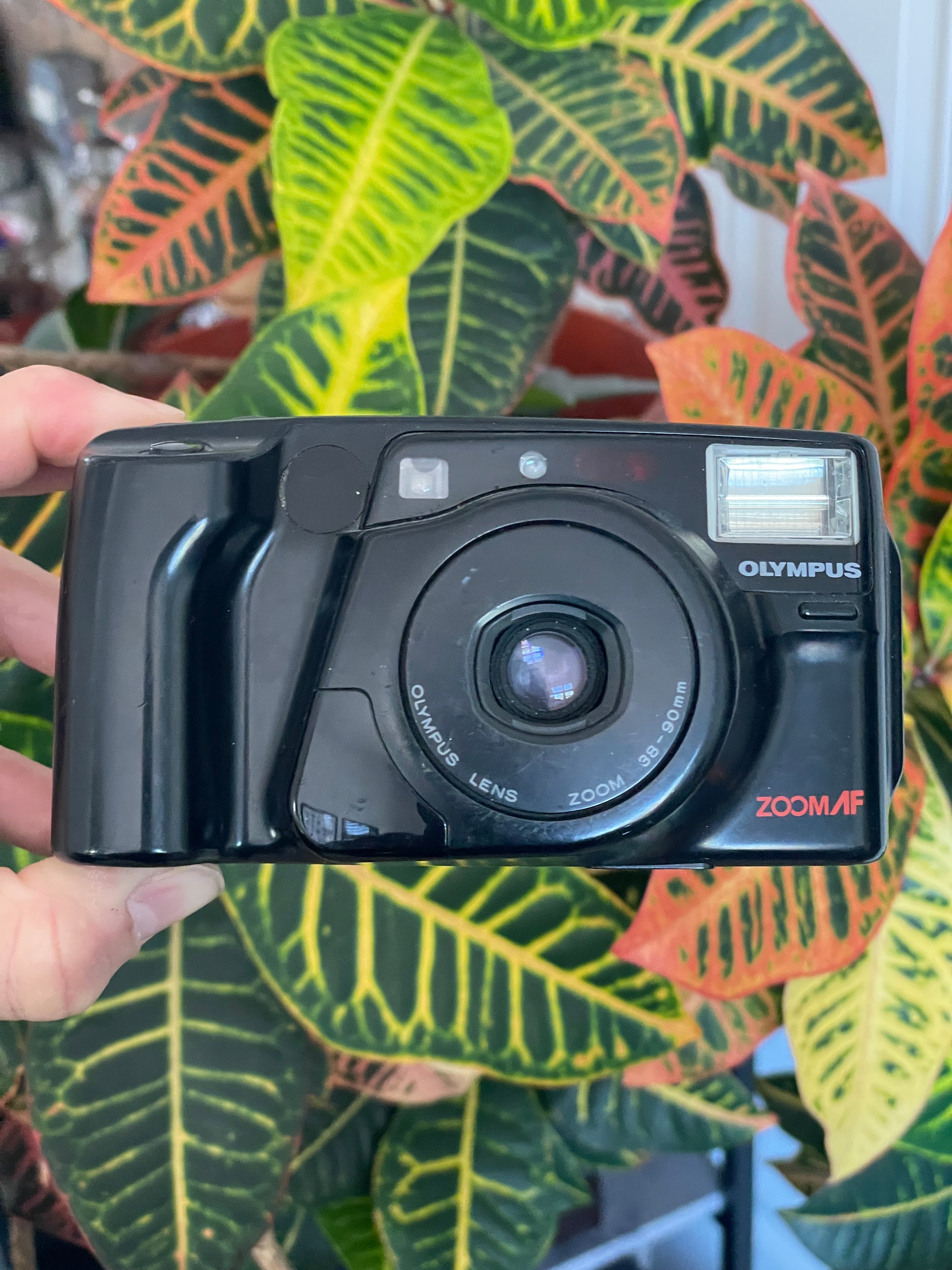 Selected Variant Image