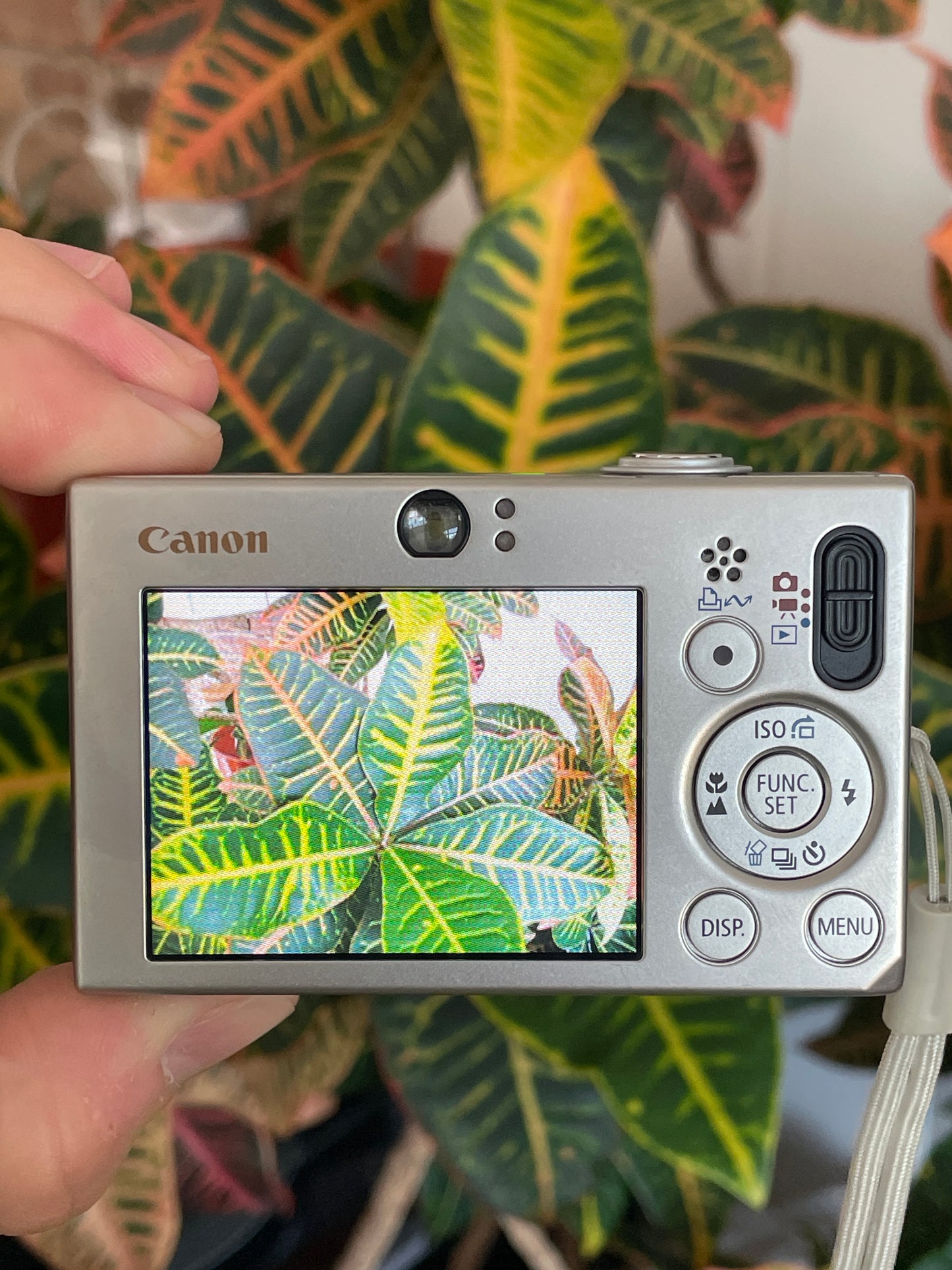 Canon PowerShot SD 1000 Digital ELPH 7.1 MP Camera Bundle