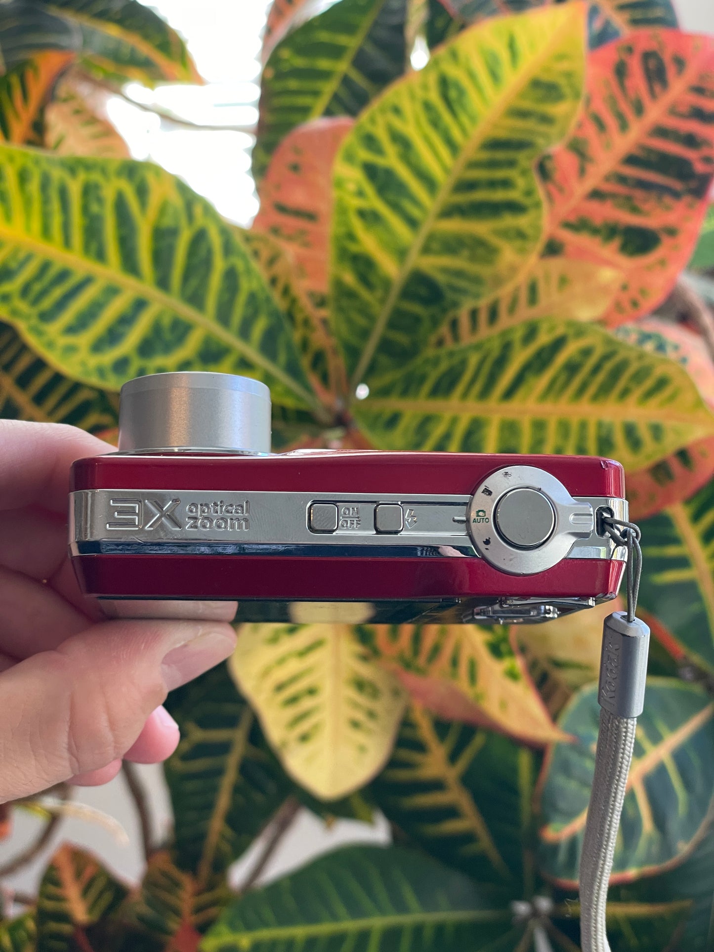 Kodak EasyShare C180 10.2 MP Digital Camera Bundle - Red