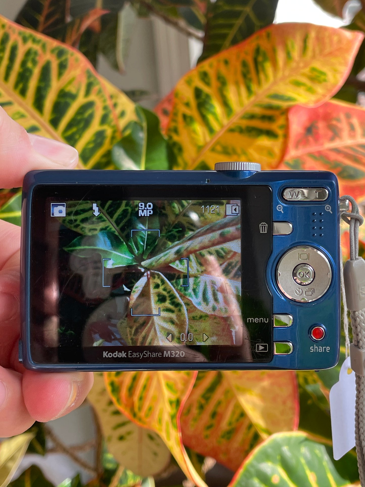 Kodak EasyShare M320 9.2 MP Digital Camera Bundle - Blue