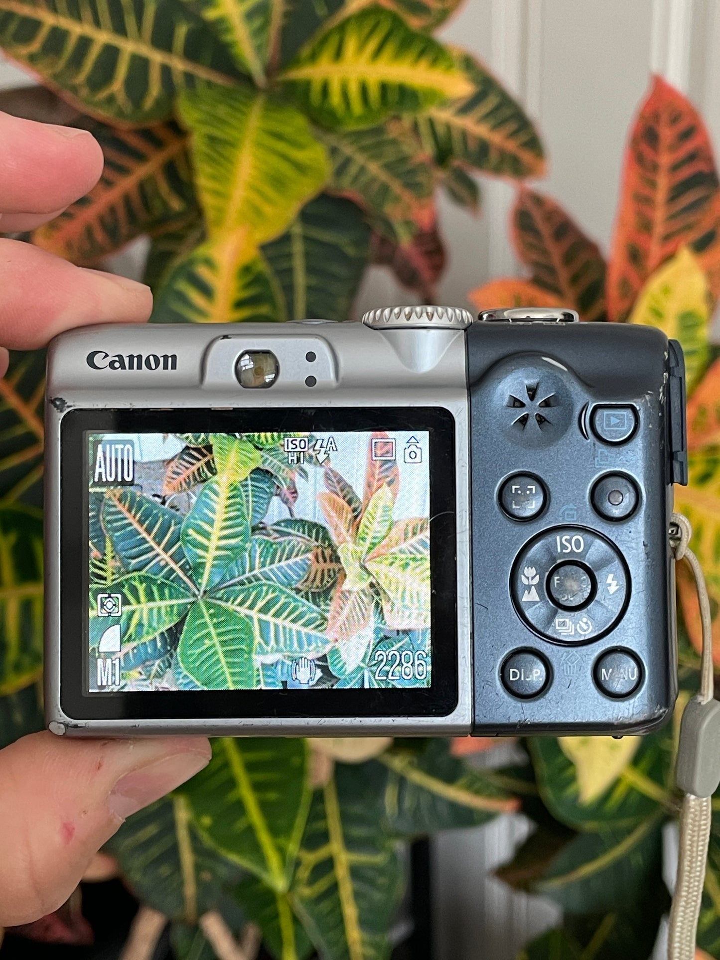 Canon PowerShot A1000 IS 10 MP Digital Camera Bundle