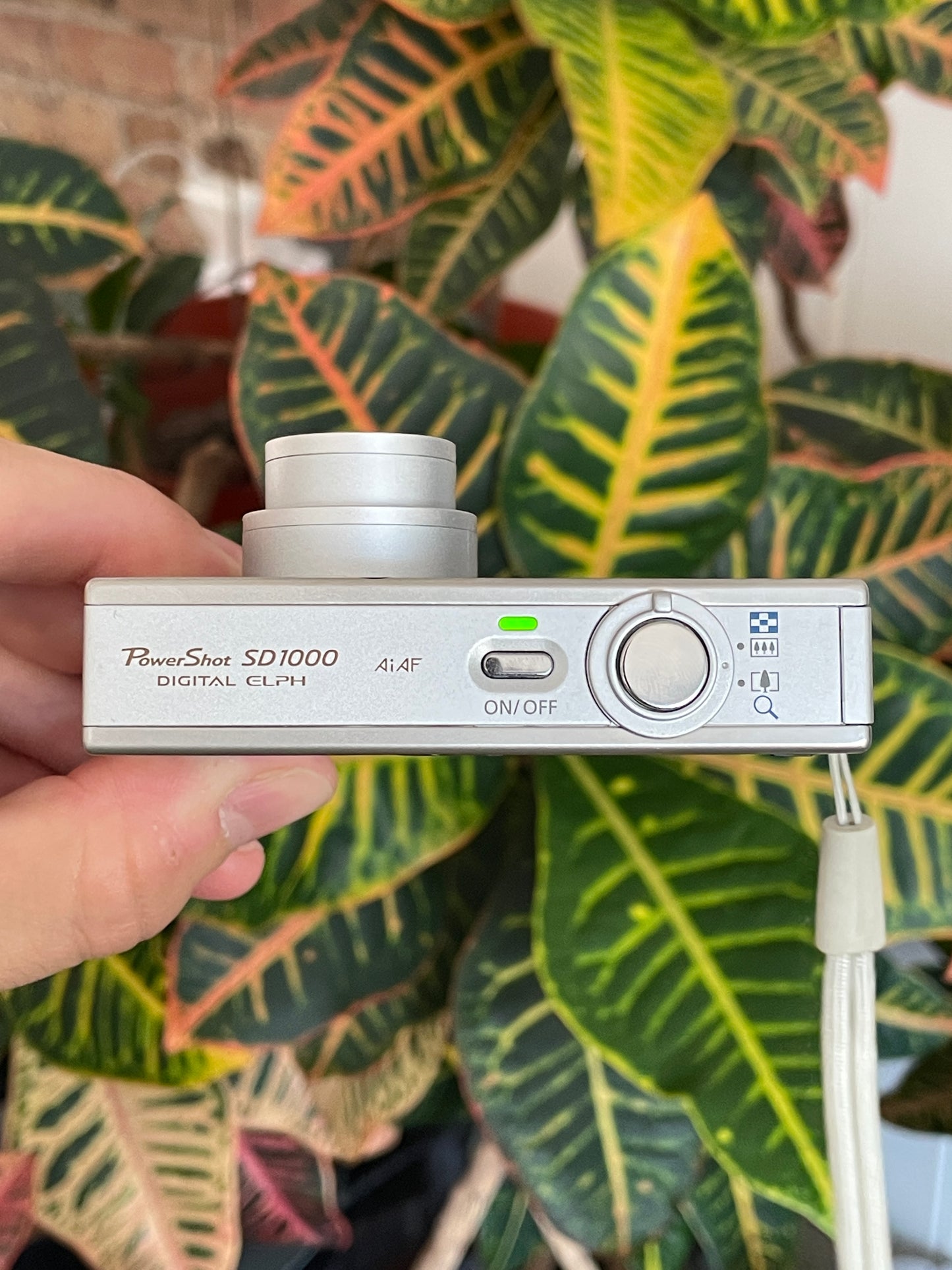 Canon PowerShot SD 1000 Digital ELPH 7.1 MP Camera Bundle