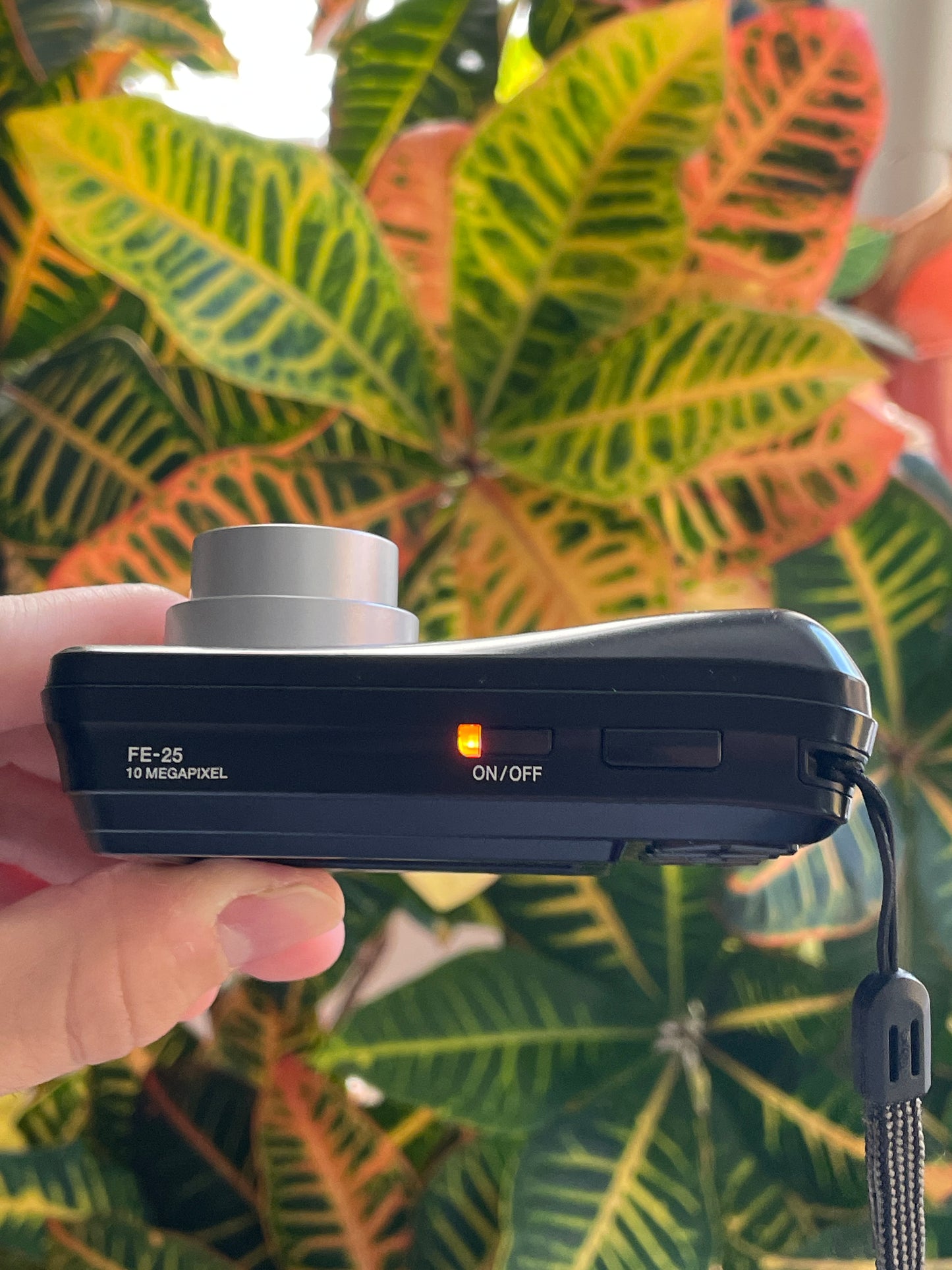 Olympus FE-25 10 MP Digital Camera Bundle - Black