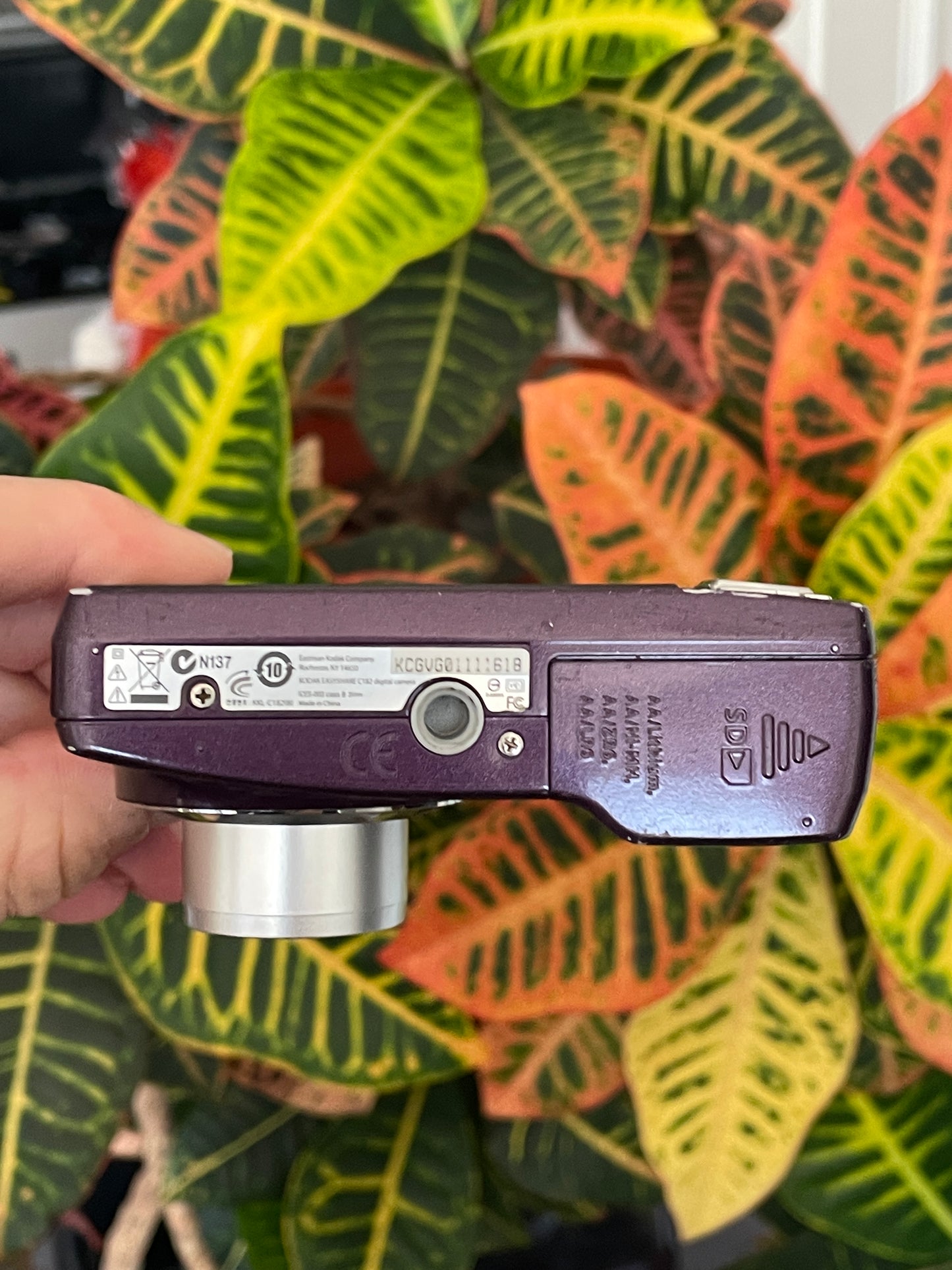 Kodak EasyShare C182 12 MP Digital Camera Bundle - Purple