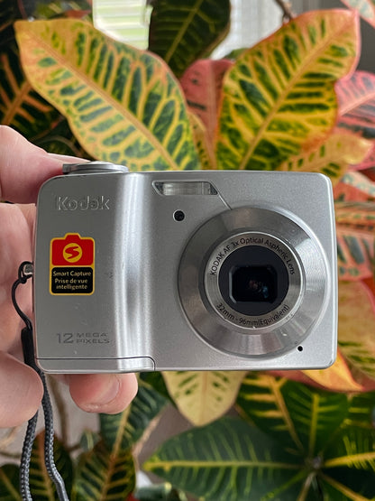 Kodak EasyShare C182 12 MP Digital Camera Bundle - Silver