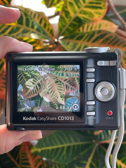 Kodak EasyShare CD1013 10.3 MP Digital Camera Bundle - Black