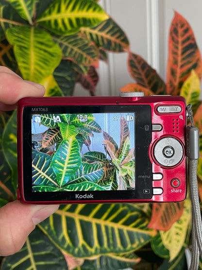 Kodak EasyShare MX1063 10.3 MP Digital Camera Bundle - Red
