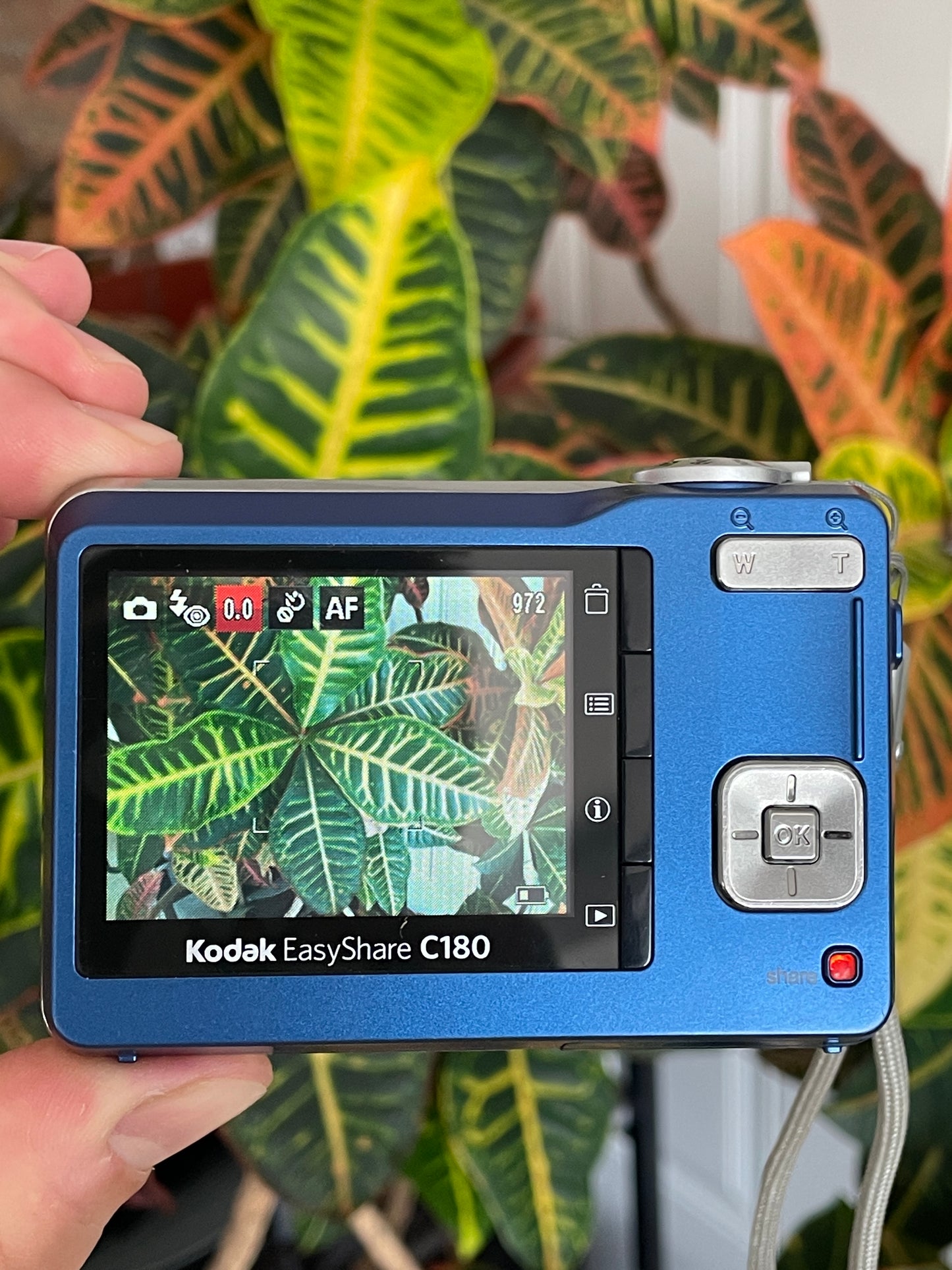 Kodak EasyShare C180 10.2 MP Digital Camera Bundle - Blue