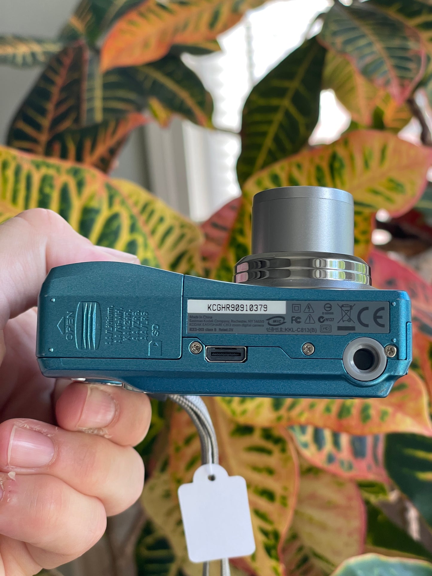 Kodak EasyShare C813 8.2 MP Digital Camera Bundle - Teal