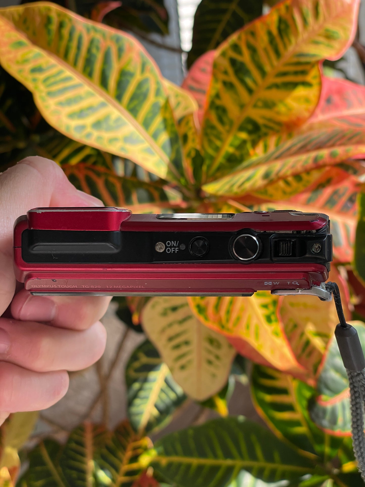 Olympus Tough TG-820 12 MP Digital Camera Bundle - Red