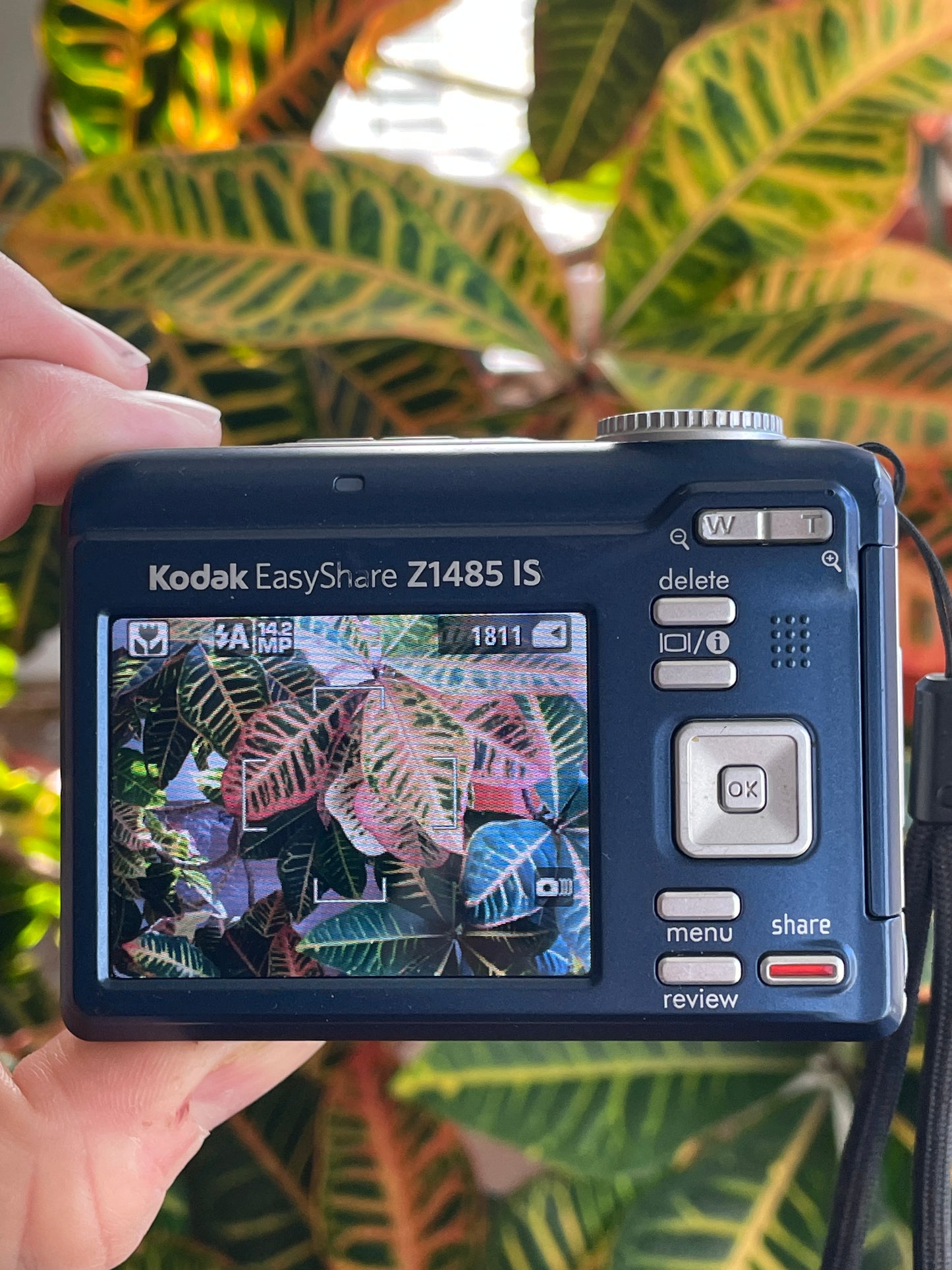 Kodak EasyShare Z1485 14 MP Digital Camera Bundle - Blue