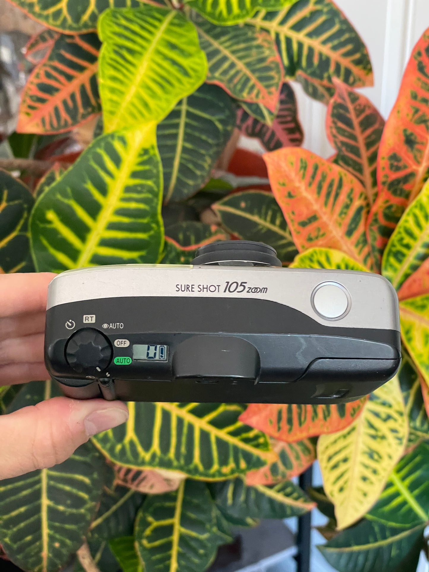 Canon Sure Shot 105 Zoom 35mm Film Camera Bundle