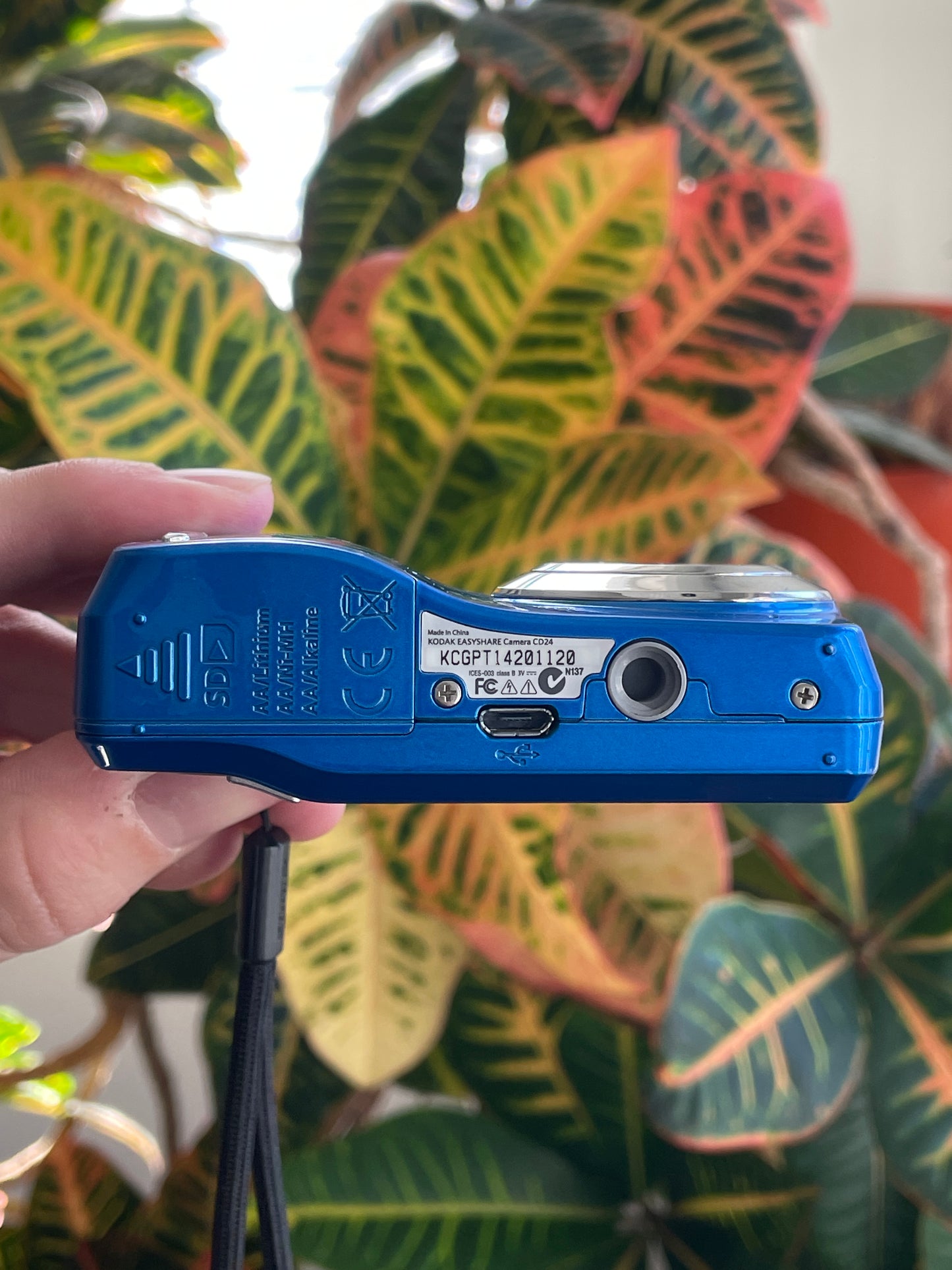 Kodak EasyShare CD24 12 MP Digital Camera Bundle - Blue