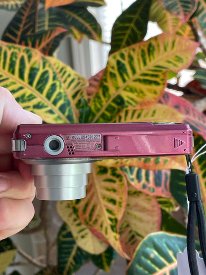 Kodak EasyShare M341 12.2 MP Digital Camera Bundle - Rose