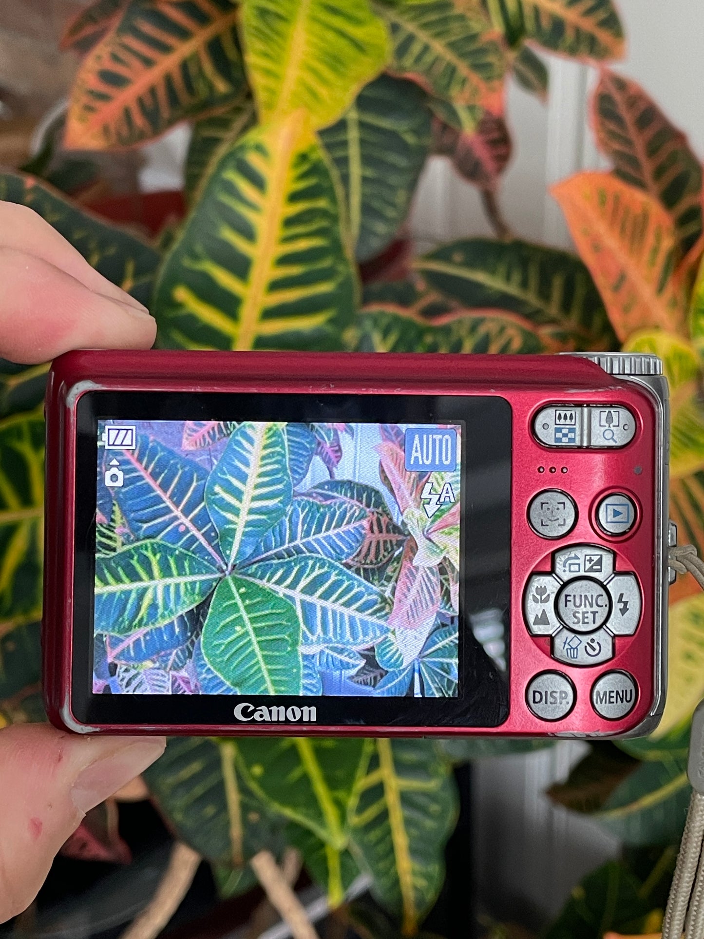 Canon PowerShot A3100 IS 12.1 MP Digital Camera Bundle - Red