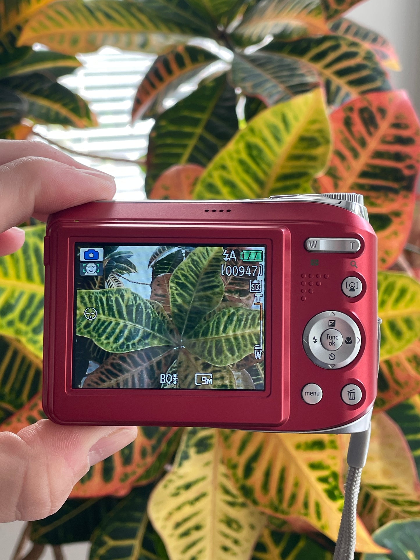 GE A950 9.1 MP Digital Camera Bundle - Red