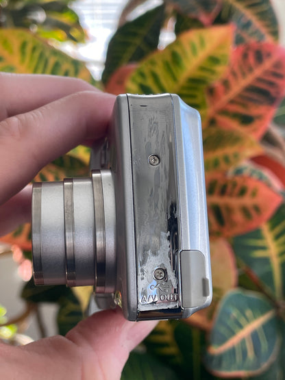 Nikon CoolPix L3 5.1 MP Digital Camera Bundle - Silver