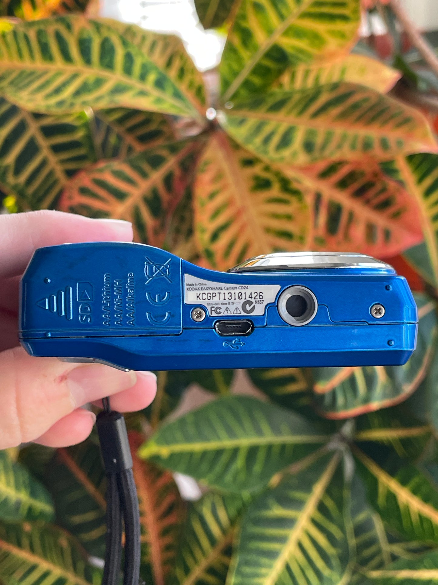 Kodak EasyShare CD24 12 MP Digital Camera Bundle - Blue