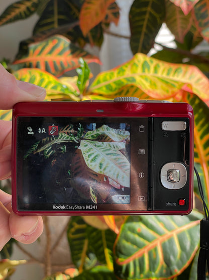 Kodak EasyShare M341 12.2 MP Digital Camera Bundle - Candy Red