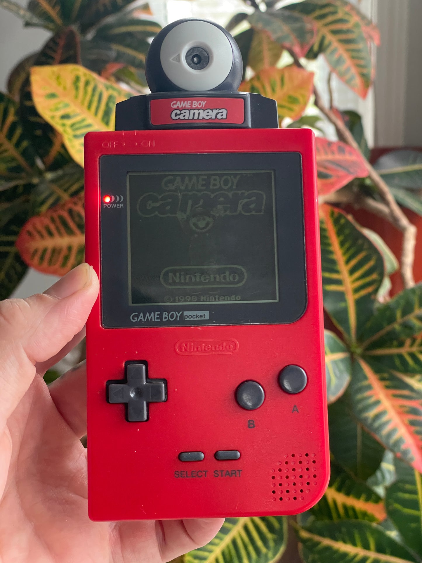 GameBoy Pocket - Red w/ Red Camera