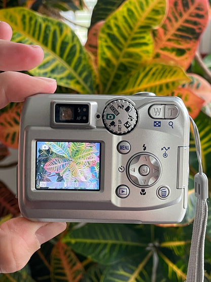 Nikon CoolPix 3200 3.2 MP Digital Camera Bundle - Silver