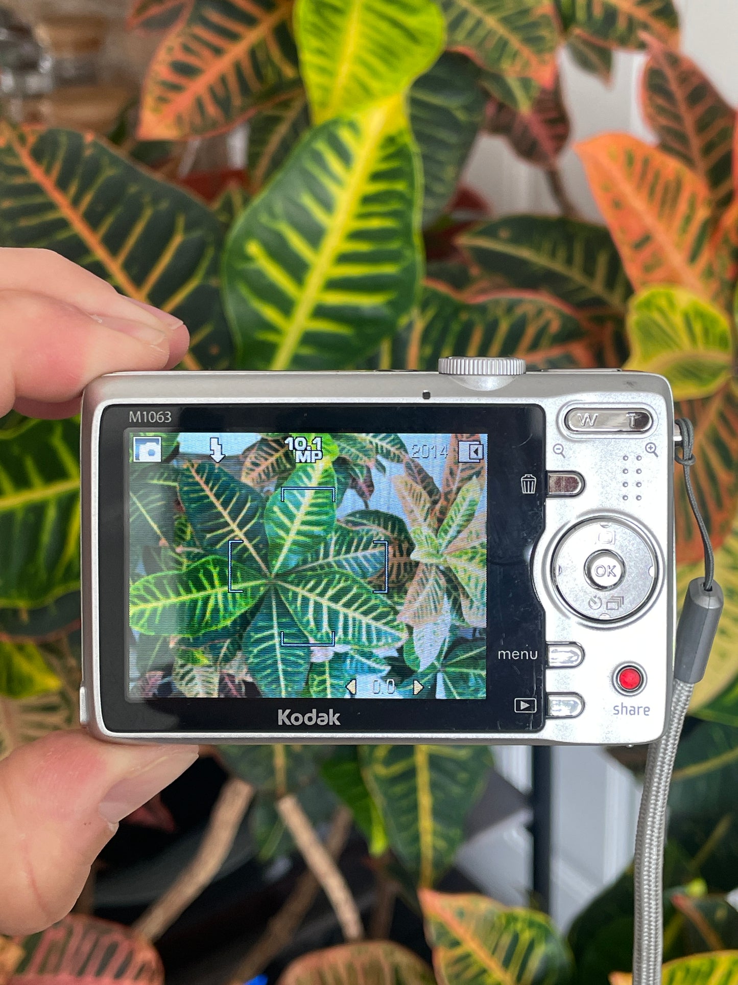 Kodak EasyShare M1063 10.3 MP Digital Camera Bundle - Silver