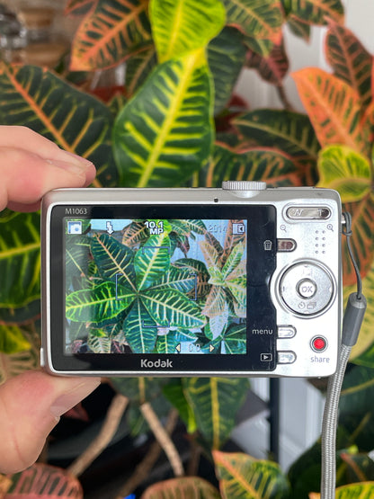 Kodak EasyShare M1063 10.3 MP Digital Camera Bundle - Silver