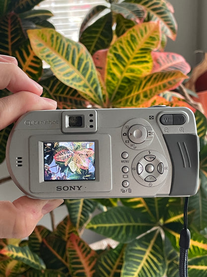 Sony CyberShot DSC-P52 3.2 MP Digital Camera Bundle - Silver