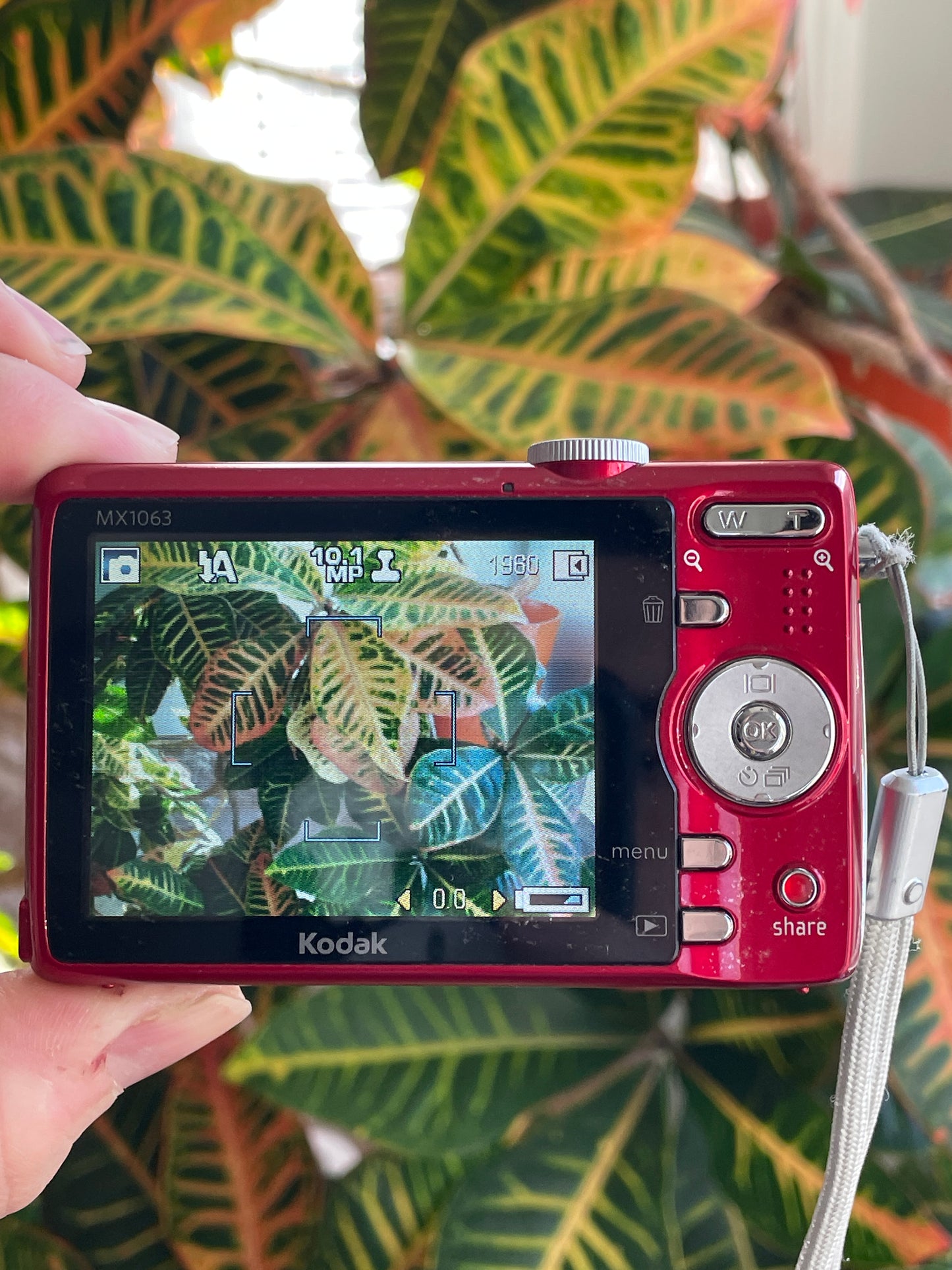 Kodak EasyShare MX1063 10.3 MP Digital Camera Bundle - Candy Red