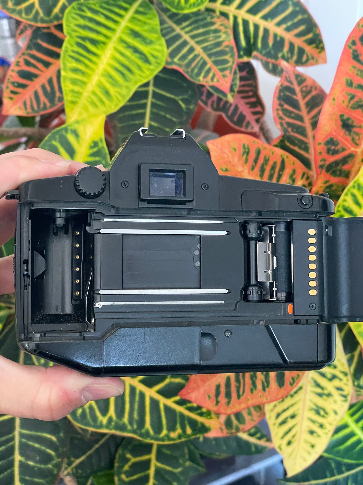 Canon EOS 650 35mm SLR Film Camera Bundle