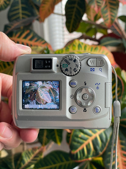 Nikon CoolPix 4100 4.0 MP Digital Camera Bundle - Silver
