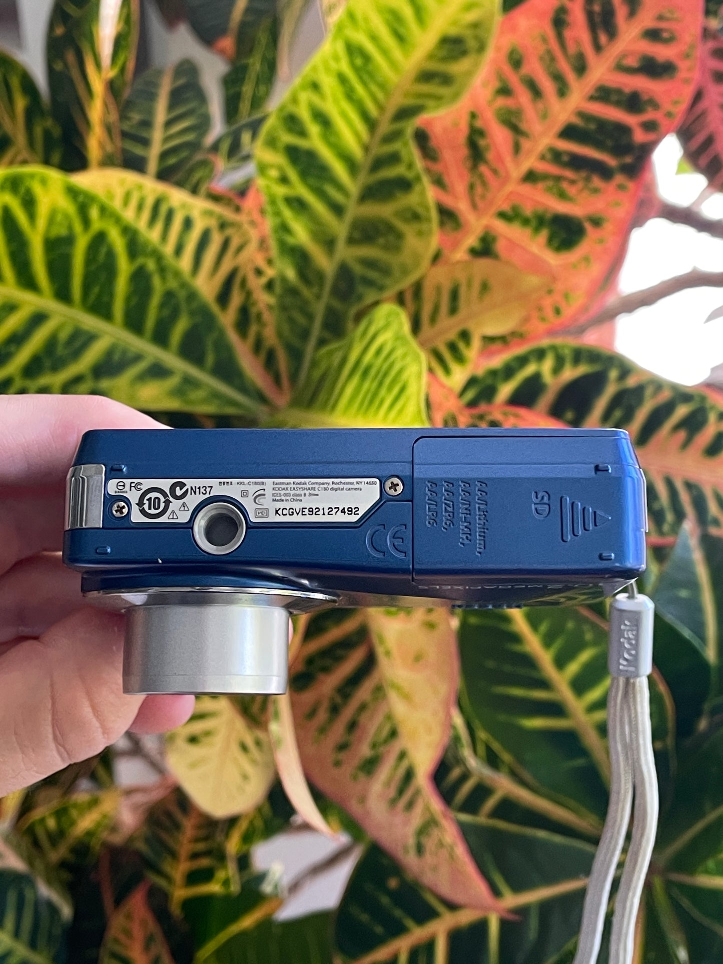Kodak EasyShare C180 10.2 MP Digital Camera Bundle - Blue