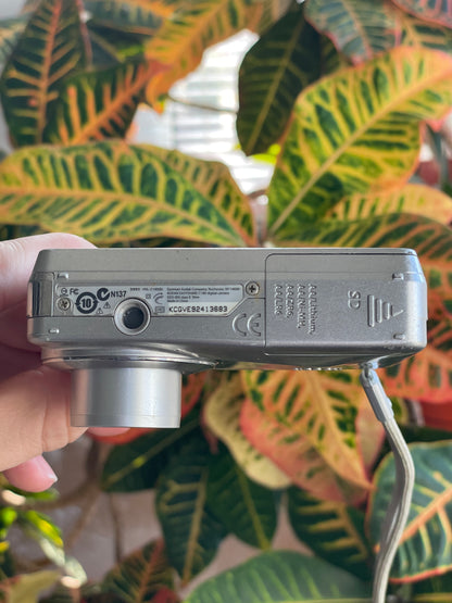 Kodak EasyShare C180 10.2 MP Digital Camera Bundle - Silver