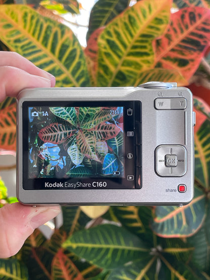 Kodak EasyShare C160 9.2 MP Digital Camera Bundle - Silver