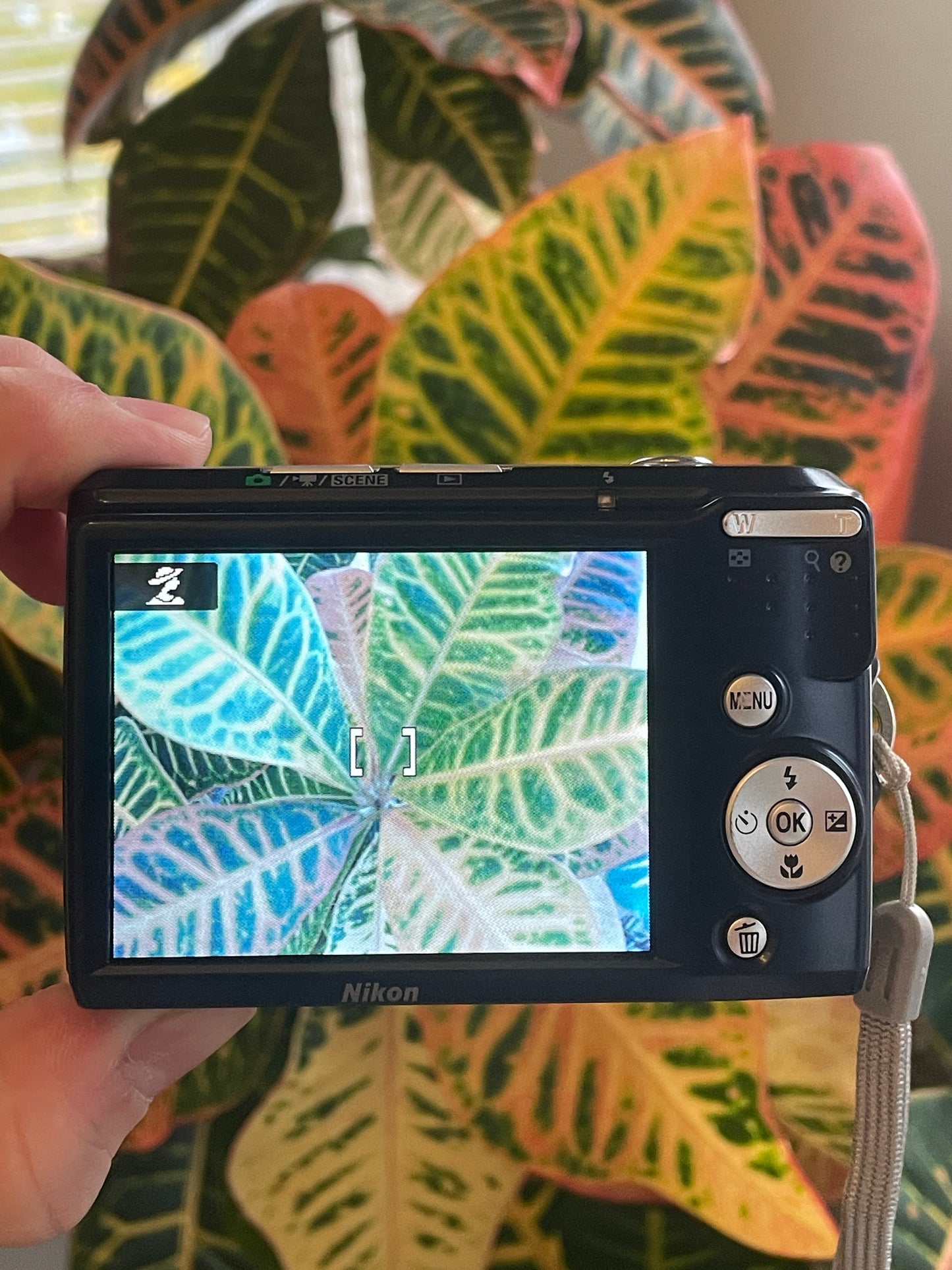 Nikon CoolPix L18 8.0 MP Digital Camera - Navy Blue