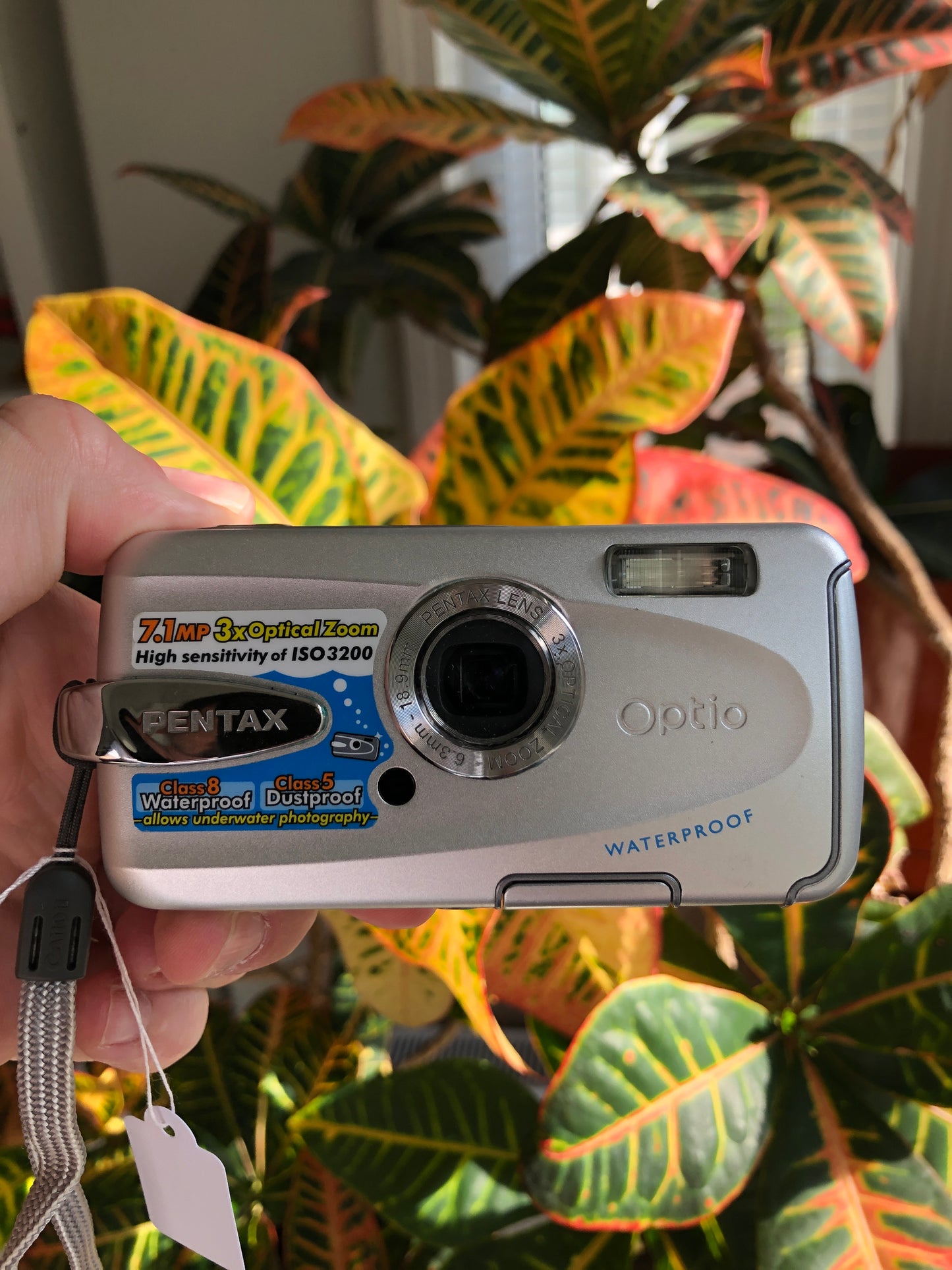 Pentax Optio W30 7.1 MP Digital Camera Bundle - Silver
